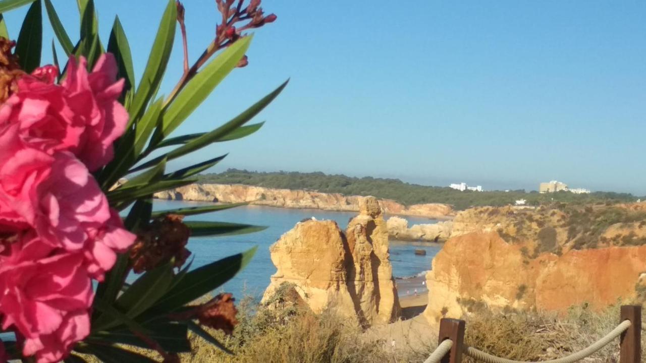 Albur Village B - Camomile Alvor Ngoại thất bức ảnh